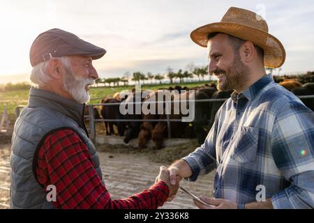Two farmers, young and mature, shaking hands and making deal in front of bovine on ranch Stock Photo