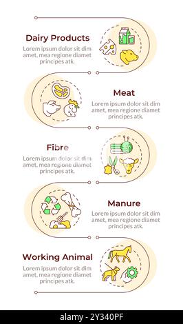 Animal production infographic vertical sequence Stock Vector