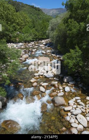 Clear river with stones surrounded by trees on a sunny day in the mountains, Garganta Jaranda, Jaranda Gorge, Jarandilla de la Vera, Caceres, Caceres Stock Photo