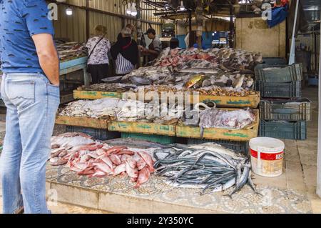 Display of different fishes fishing in the Red Sea on the walk of the old marina of the city of Hurghada in Egypt Stock Photo