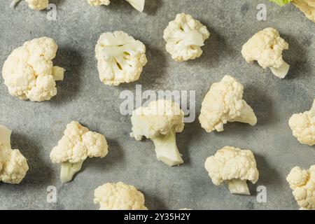 Organic Raw White Cauliflower Head Ready to Cook With Stock Photo