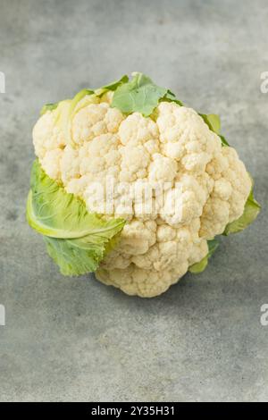 Organic Raw White Cauliflower Head Ready to Cook With Stock Photo
