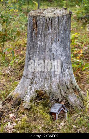 A large, weathered tree stump in a forest, covered with moss and surrounded by greenery. At the base of the stump, there is a small, whimsical wooden Stock Photo