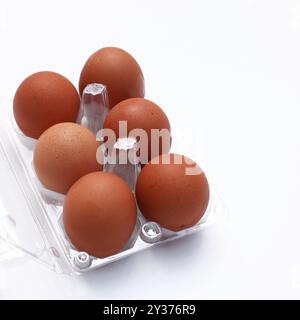 Half a dozen eggs in a cardboard carton Stock Photo