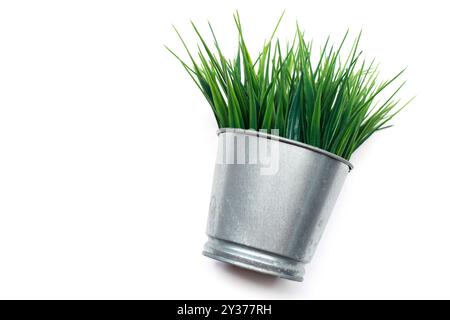 Artificial grass in metal flower pot isolated on a white background Stock Photo