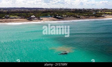 Groups of whales on the beaches of Mar del Plata, Argentina. Stock Photo