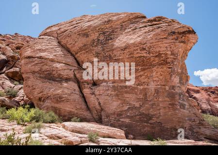 Calico Basin Trail, Red Rock Canyon, Nevada Stock Photo