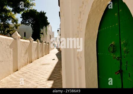 the fortified city of Asilah, on the northwestern tip of Morocco, 42 kilometers south of Tangier, was the home of several conquerors and pirates. Look Stock Photo