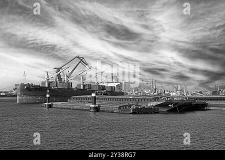 port of rotterdam, netherlands - 2021-09-03: danish bulkcarrier nord baltic  (imo # 9826433) discharging bulk cargo at waalhaven into barges  --  [cre Stock Photo