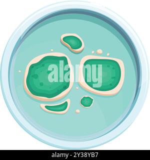 Cartoon petri dish with colony of bacteria growing in it Stock Vector