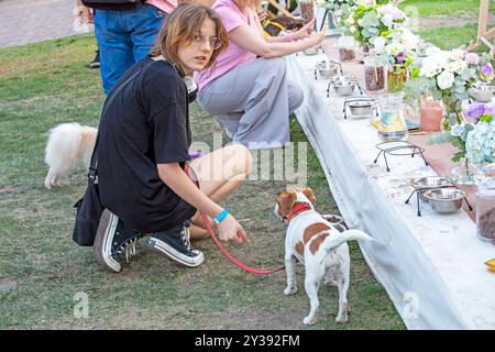 owner gives food to Jack Russell Terrier on banquet table for dogs. Festival for dogs Stock Photo