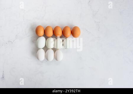 Overhead view of chicken and duck eggs sorted by colour Stock Photo