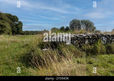 Old stone wall in the field in west of Ieland Stock Photo