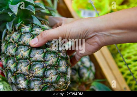 Close-up of hand holding ripe pineapple for sale at market Stock Photo