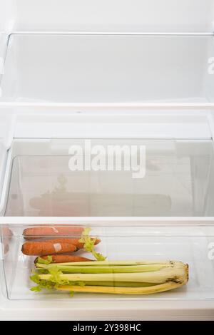 empty home kitchen refrigerator with dried vegetables, carrots and celery, on bottom shelf Stock Photo