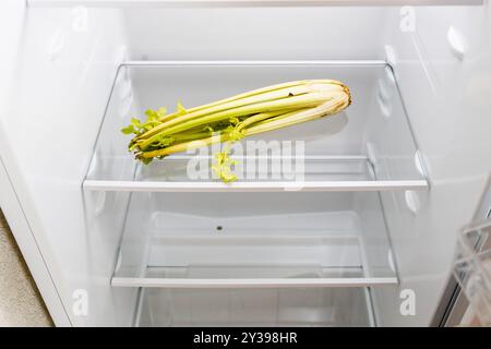 above view of home kitchen refrigerator with withered celery on shelf Stock Photo