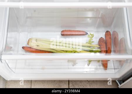 dried vegetables, carrots and celery in bottom box of home kitchen refrigerator Stock Photo