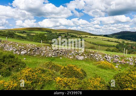 A dry stone wall above Widecombe-in-the-Moor with Hamel Down beyond, Dartmoor National Park, Devon, England. Stock Photo