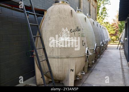 Row of concrete fermentation tanks at a modern winery, showcasing the contemporary wine production process. Stock Photo