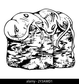 Traditional Japanese food, gunkan sushi seaweed nori wrap with wakame chuka salad, sesame chia seeds. Illustration hand drawn in vector pen, ink for Stock Vector