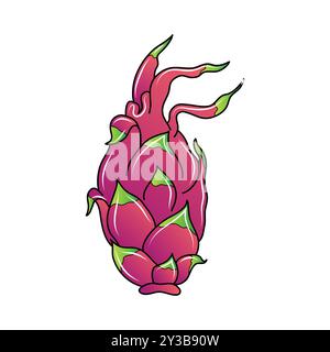 Dragon Fruit Illustration - Exotic Tropical Fruit - Vector Graphic Stock Vector