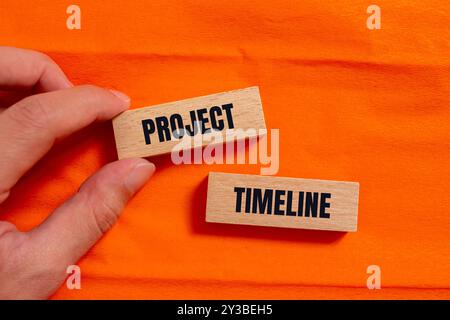 Project timeline message written on wooden blocks with orange background. Conceptual project timeline symbol. Copy space. Stock Photo