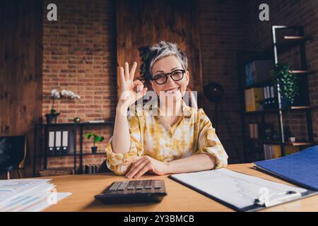 Photo of lovely nice successful woman economist doing report nice job okey sign indoors workstation workspace Stock Photo