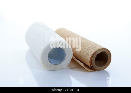Two Color Paper Towel Kitchen Tissue Roll, Isolated on White Stock Photo