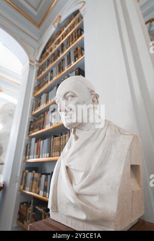 Bust of a historical scholar in front of a bookshelf in an impressive library, Weimar, Germany, Europe Stock Photo