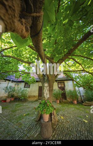 Dreamcatcher hanging from a tree in a historic garden, surrounded by shade and decorative elements, Harz Mountains, Germany, Europe Stock Photo