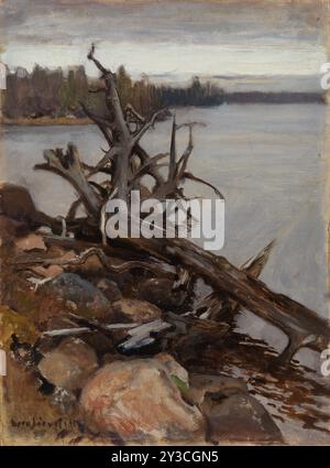 Dead Pine in the Water, 1898. Stock Photo