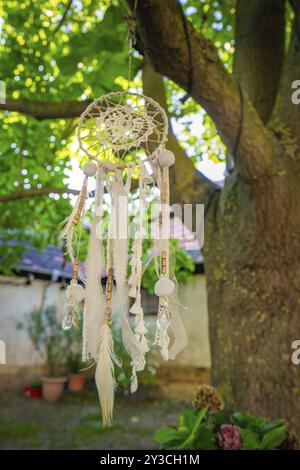 Close-up of a dreamcatcher hanging from a tree in an illuminated garden, Harz Mountains, Germany, Europe Stock Photo