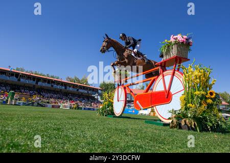 Francois Xavier Boudant of France with Brazyl du Mezel during the De