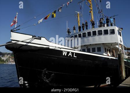 Steam icebreaker whale, 12th Flensburg Steam Round, Flensburg, Schleswig-Holstein, Germany, Europe Stock Photo