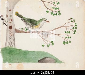 Lesser Spotted Woodpecker (male) and Eurasian Golden Oriole (female), 1830. Stock Photo