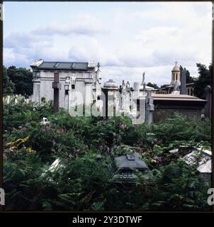 Brompton Cemetery, Old Brompton Road, Brompton, Kensington and Chelsea, Greater London Authority, 1982. General view of tombs overgrown with bracken in Brompton Cemetery and showing the chapel beyond, to the south-east. Stock Photo