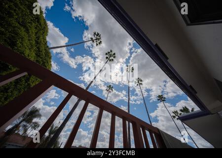 A low-angle view captures striking contrast of tall palm trees against cloudy blue sky, framed by the lines of architectural elements. The perspective Stock Photo