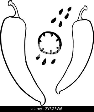 hand drawn chilies, illustration of chillies, doodles of chillies Stock Vector