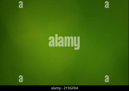 Green abstract blurred background. Green plant defocus Stock Photo