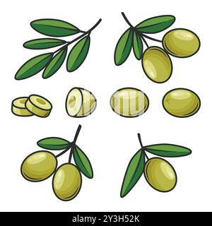 Flat Vector Green Olives and Branch Outline Set. Hand-Drawn Olive Tree Berries and Branch Clipart. Olive Twig with Leaves for Olive Oil Products Stock Vector