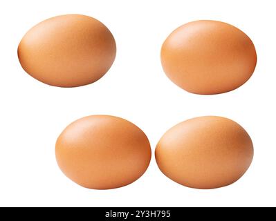 Top view set of four fresh brown chicken eggs is isolated on white background with clipping path. Stock Photo