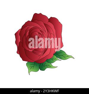 Red Rose with Green Leaves Vector Illustration Stock Vector