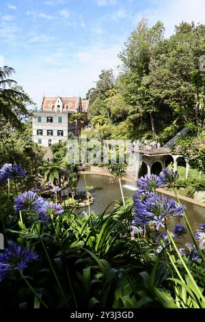 Landscape view of exotic garden in Madeira Stock Photo