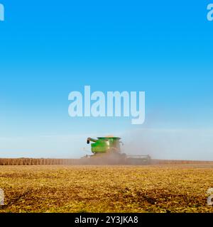 Soybean harvest. Modern industrial combine harvester harvesting in a soybean field. Stock Photo with copy space. Stock Photo