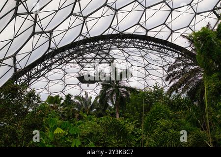 A view of a large greenhouse structure with a curved metal frame and transparent panels. Lush greenery and tropical plants are visible below, creating Stock Photo