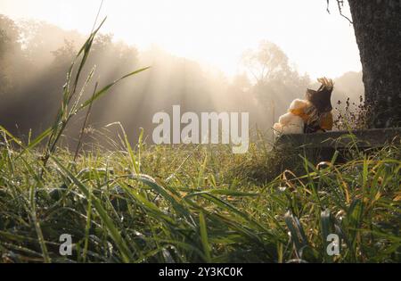 Partnership theme image with a teddy bear and a scarecrow embraced, sitting together on a wooden bench under a tree and enjoying the sun piercing the Stock Photo