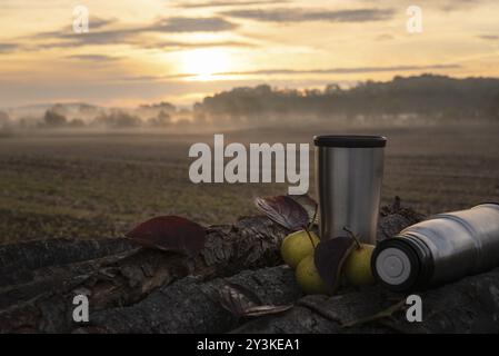 Autumn morning coffee served in a thermos, outdoor, on a pile of wooden logs, surrounded by a few pears and fall leaves, and a foggy sunrise Stock Photo