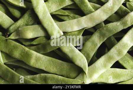 Close-up with fresh green beans sprinkled with water. Green beans pile top view. Organic vegetables Stock Photo