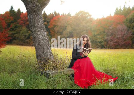 Beautiful young woman, in an elegant red dress and jacket, sitting on a wooden bench, under an old tree, reading an antique book, in a colorful autumn Stock Photo