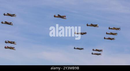 Duxford, Cambridgeshire, UK. 14th Sep 2024. An incredible mass formation of Spitfires and Hurricanes, one of the largest ever at IWM Duxford, in commemoration of the Battle of Britain. Credit: Stuart Robertson/Alamy Live News. Stock Photo